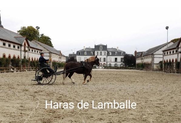 Perle Rare, Appartement Paisible Et Cosy Lamballe Luaran gambar